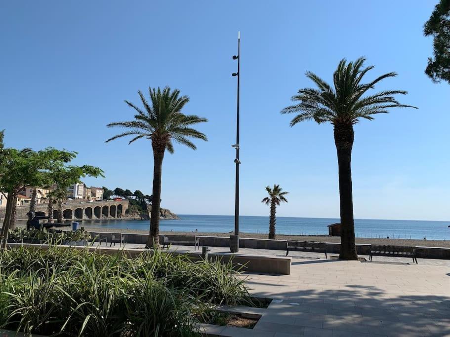 Superbe Appt Vue Mer Climatise Banyuls-sur-Mer Luaran gambar